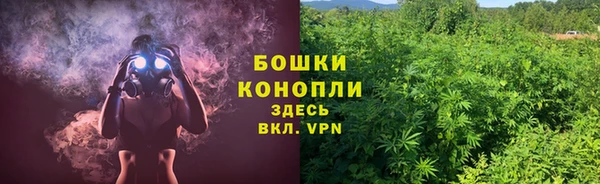 амф Горно-Алтайск